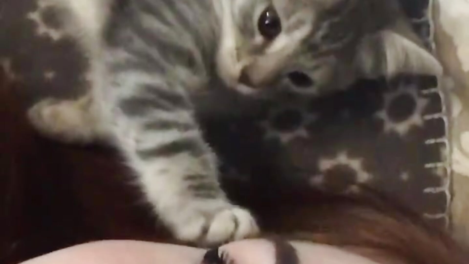 me and Yuna - video by RubyCalis cam model