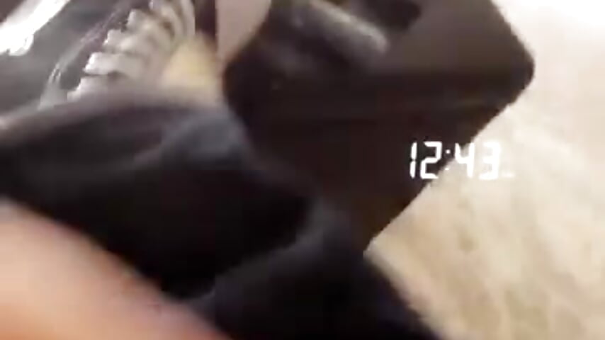 ,filtered-96DA81AC-1E19-4523-9C88-CEEA9A412999 - video by Greedy187nMs211 cam model