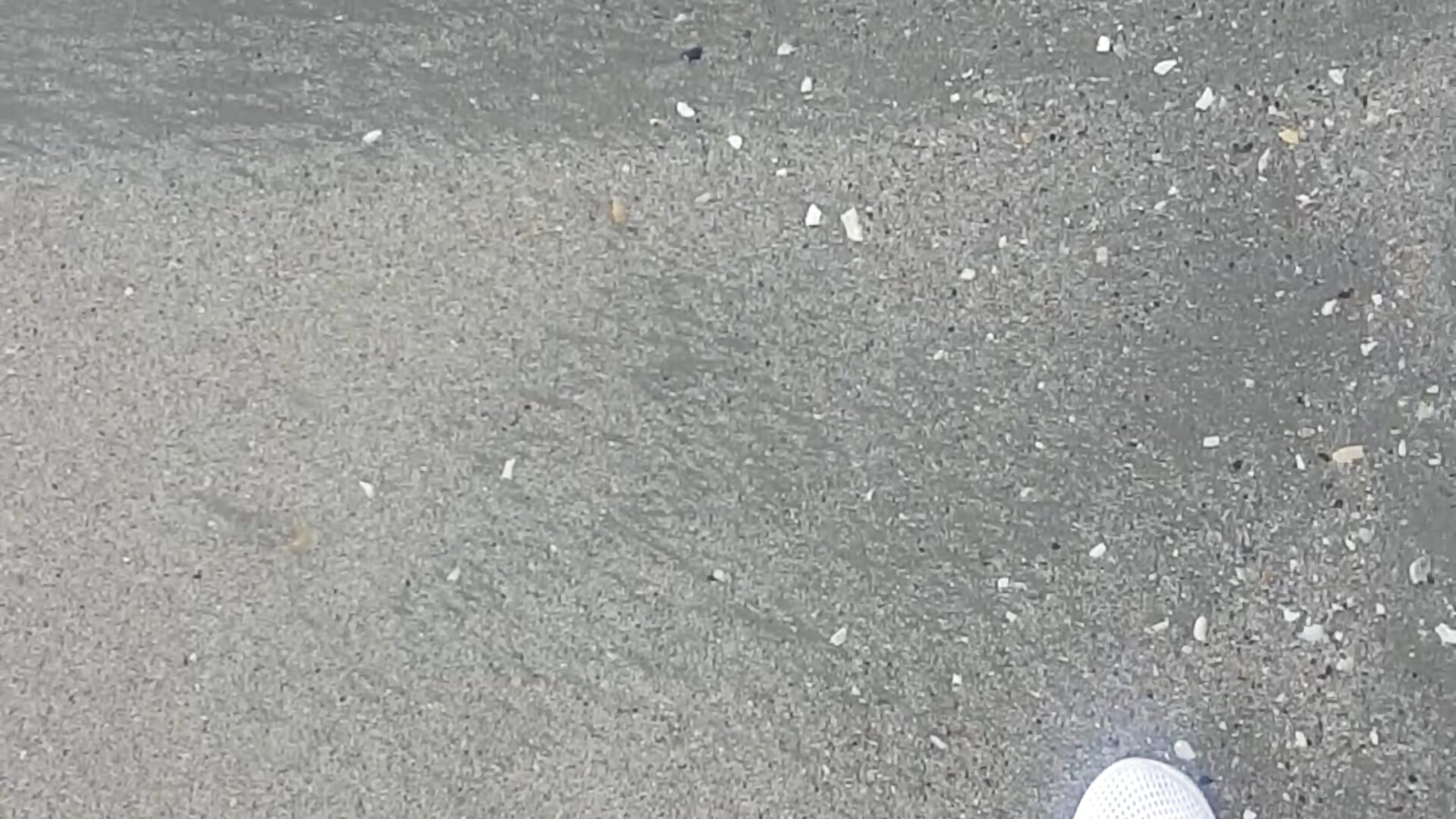 walk on the sea - video by sweetmystery1 cam model