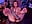 Compressed_CharletteWebb_Breed-THIS-Snow-Bunny.mp4 - video by CharletteWebb cam model