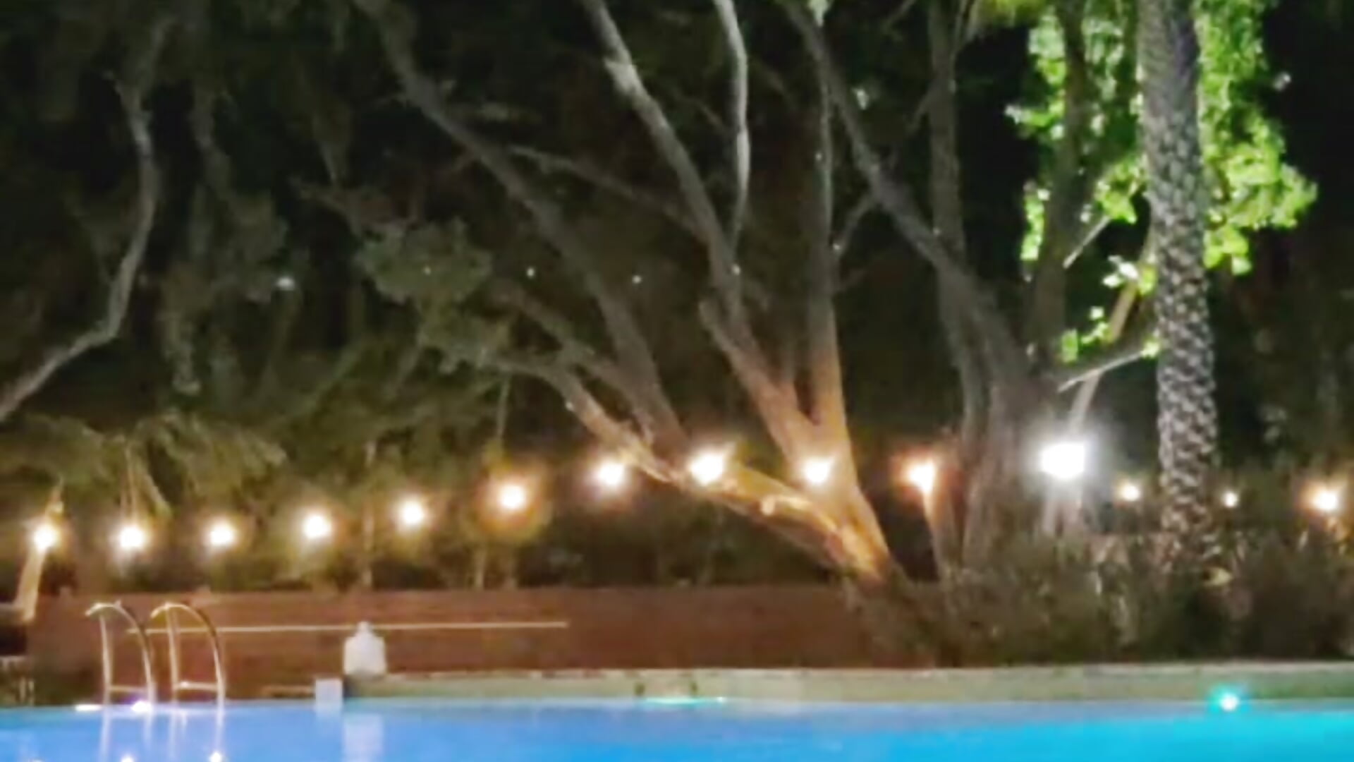 Get wet with me daddy? - video by CharletteWebb cam model