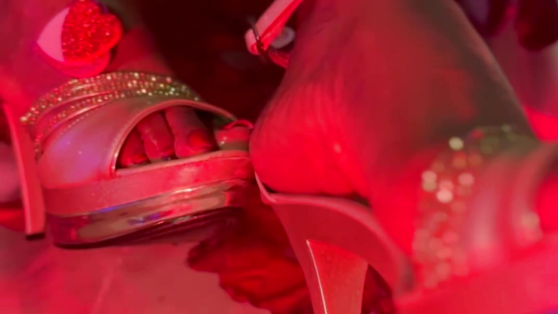 suck my feet full of roses