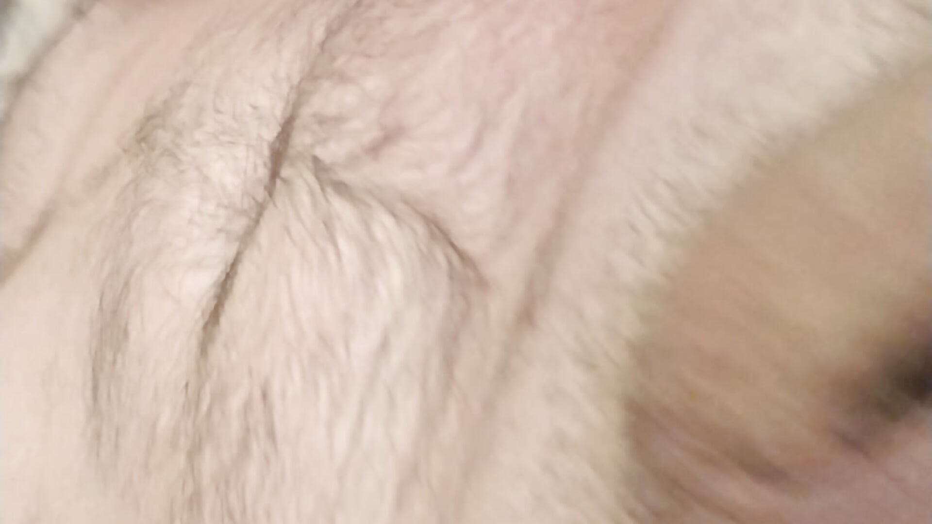 Its get it hot in here - video by ikspeb91 cam model