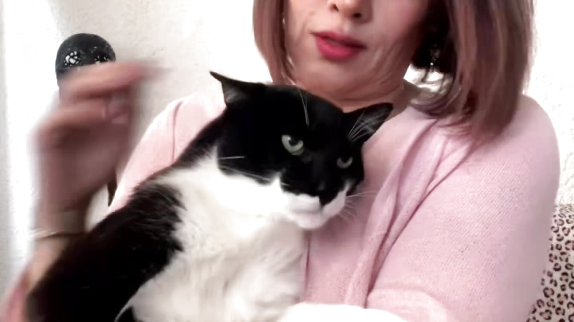 Mi papacho en la trampa con todo💀 - video di Boonny_boo_ modella di cam