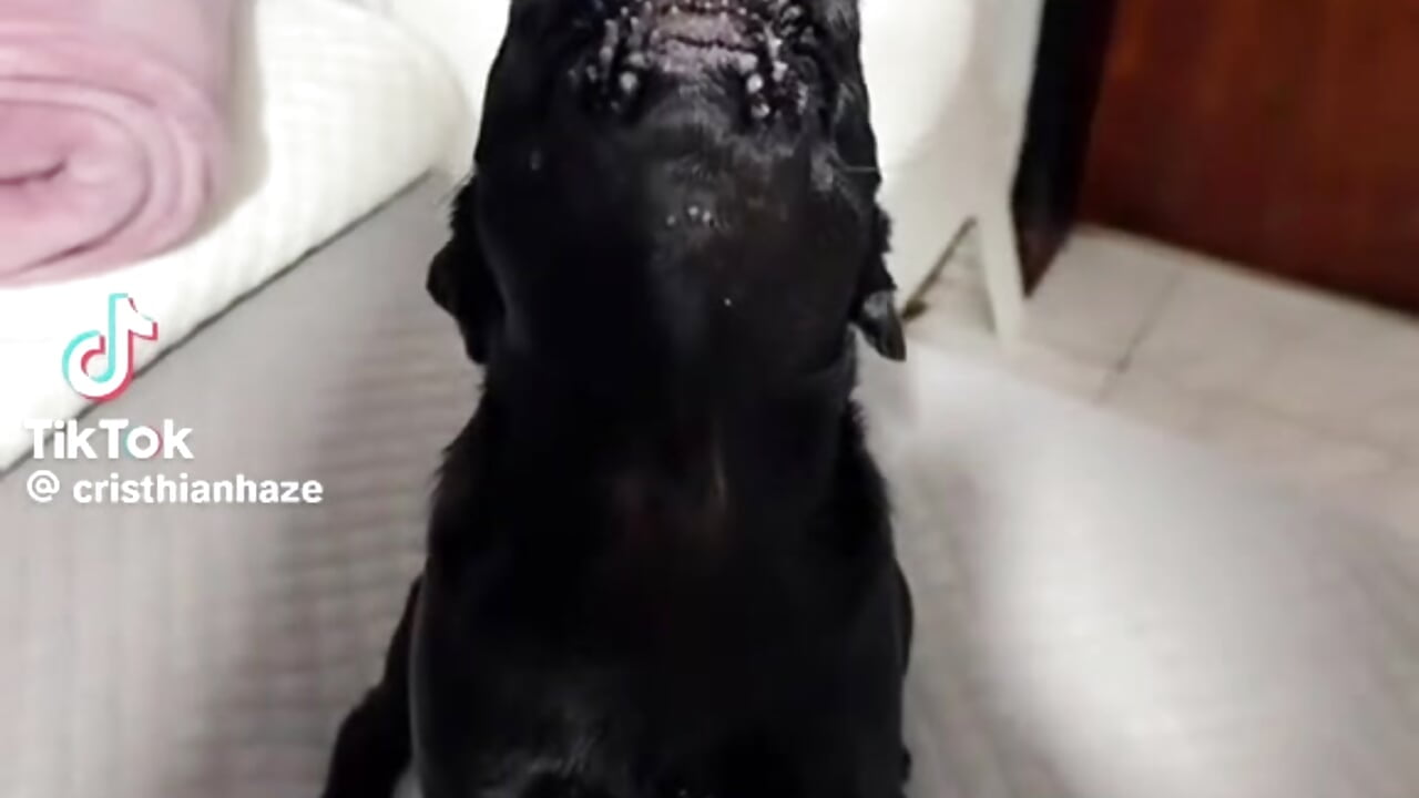 ☺️ - video oleh Boonny_Boo- kamera model