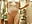 1000000730 - video by Eliza_Wendy cam model