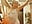 1000000734 - video by Eliza_Wendy cam model