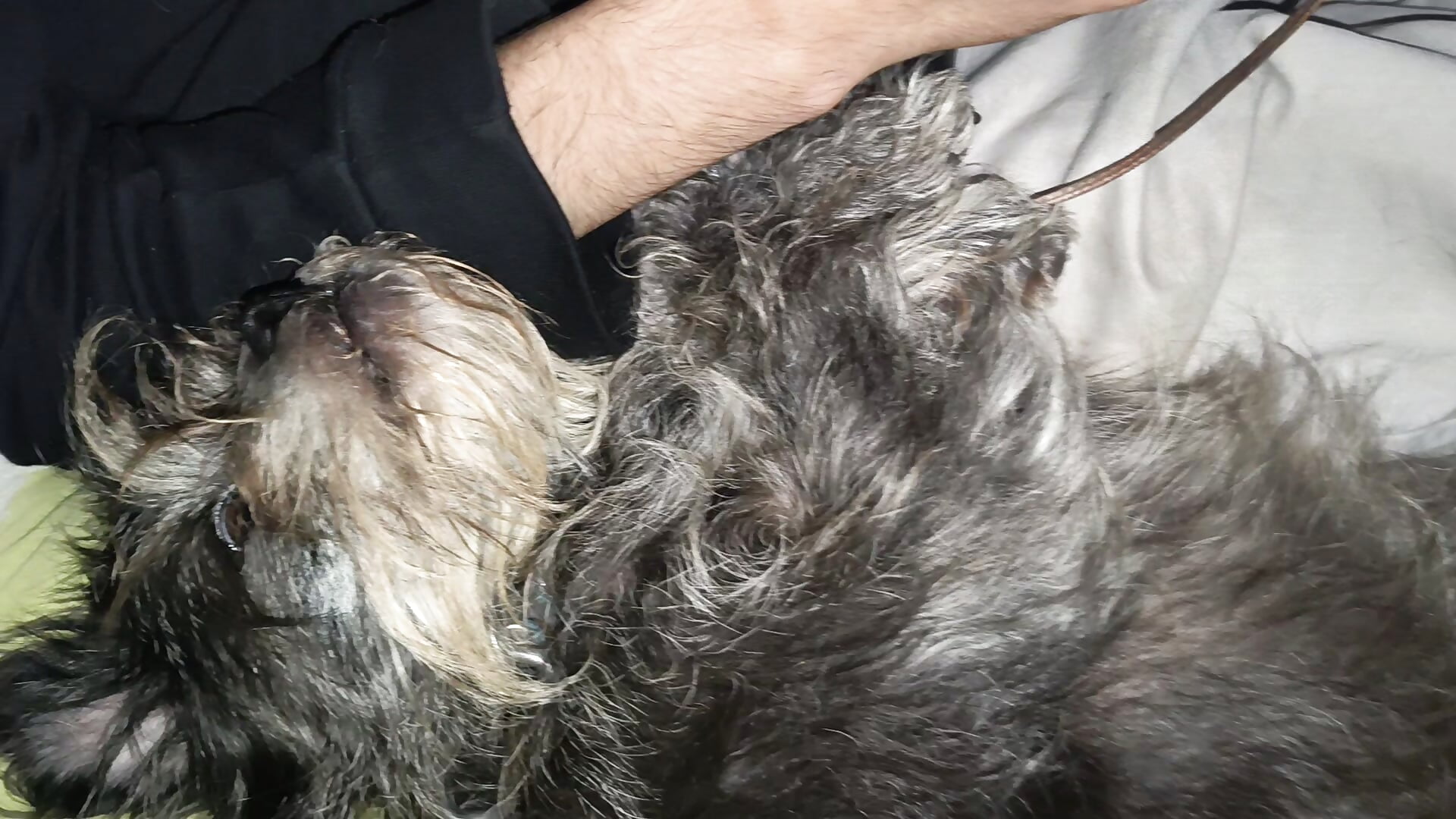 VID_20250720_180522306 - video by LaInsaciableIntensa cam model