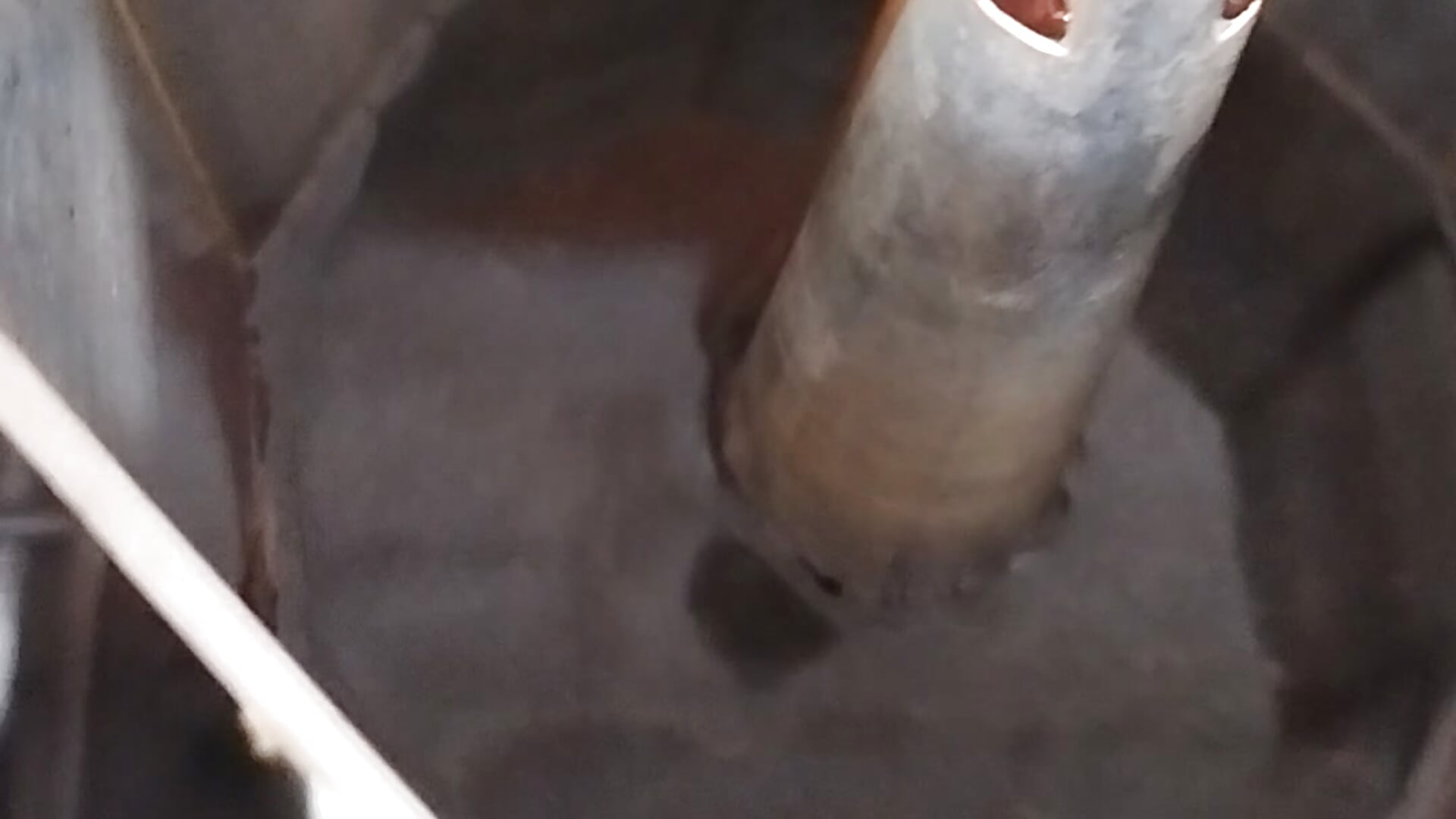 VID_20250712_103758 - video by LaInsaciableIntensa cam model