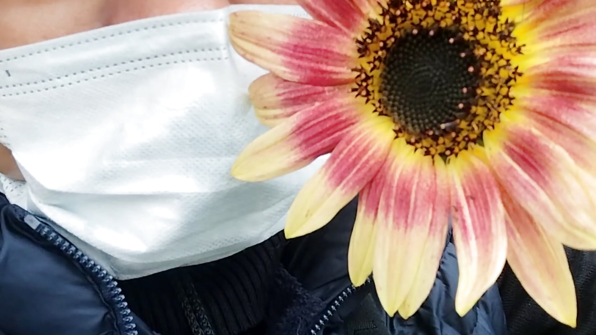 VID_20250623_123453 - video by LaInsaciableIntensa cam model