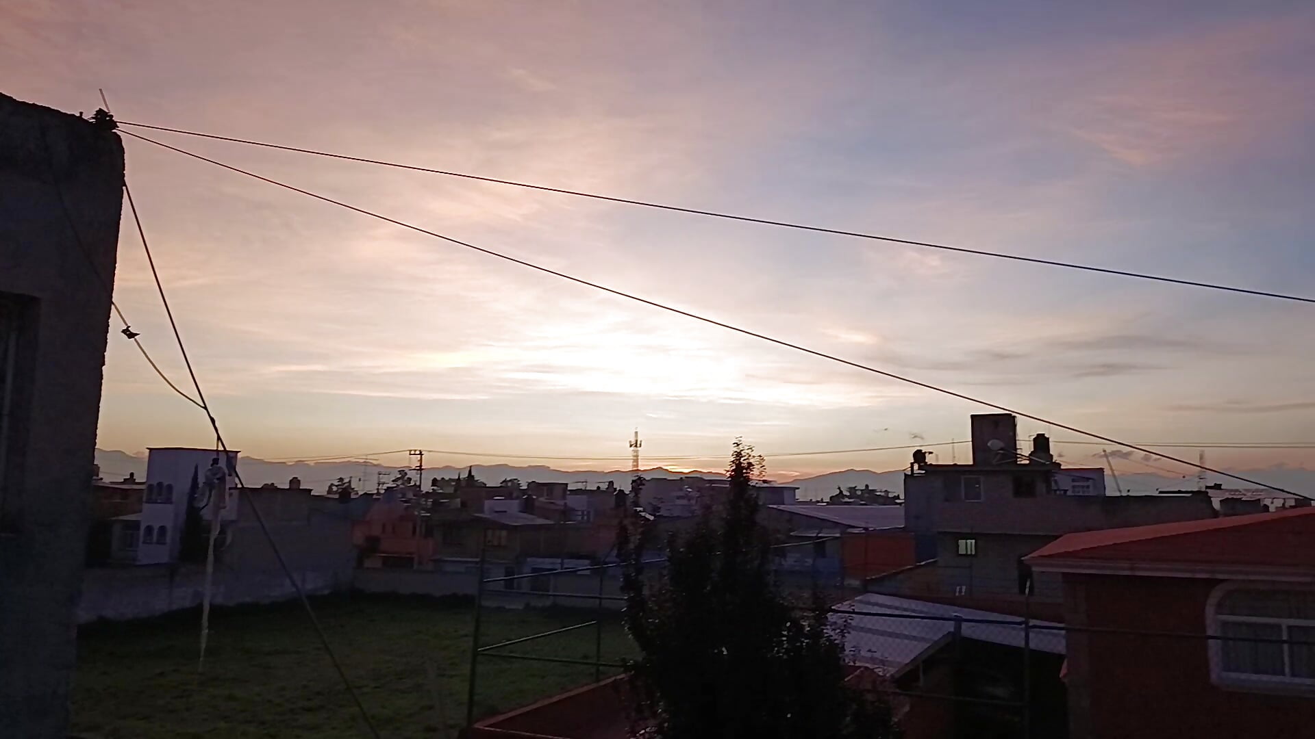 1000000491 - video by LaInsaciableIntensa cam model