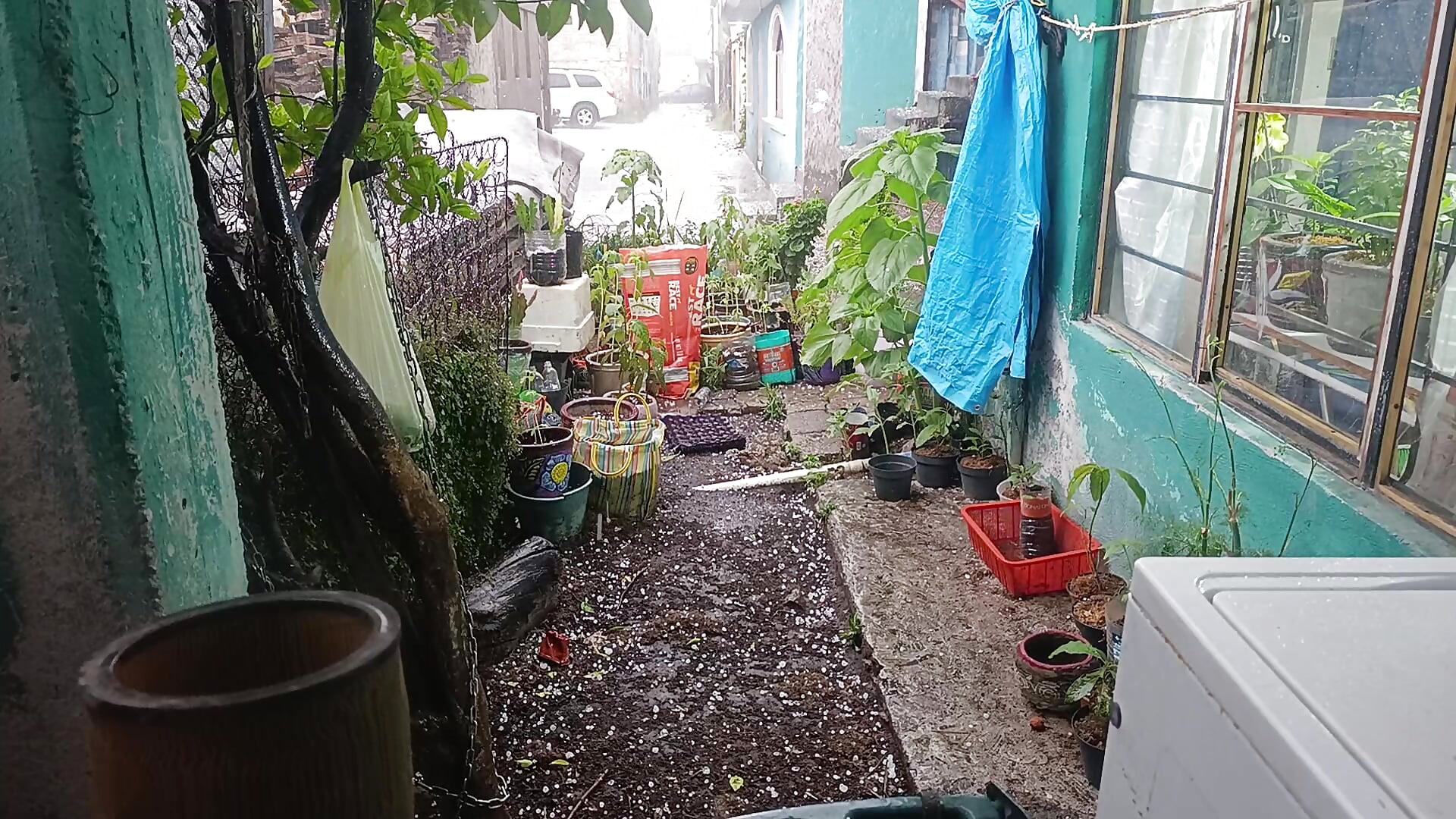 1000000328 - video by LaInsaciableIntensa cam model