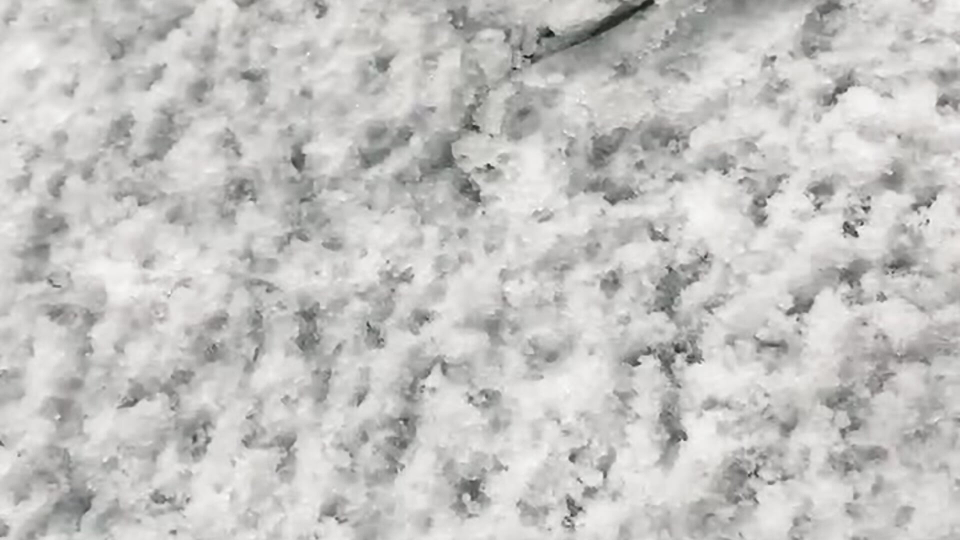 IMG_2565 - video by KristiiMax cam model