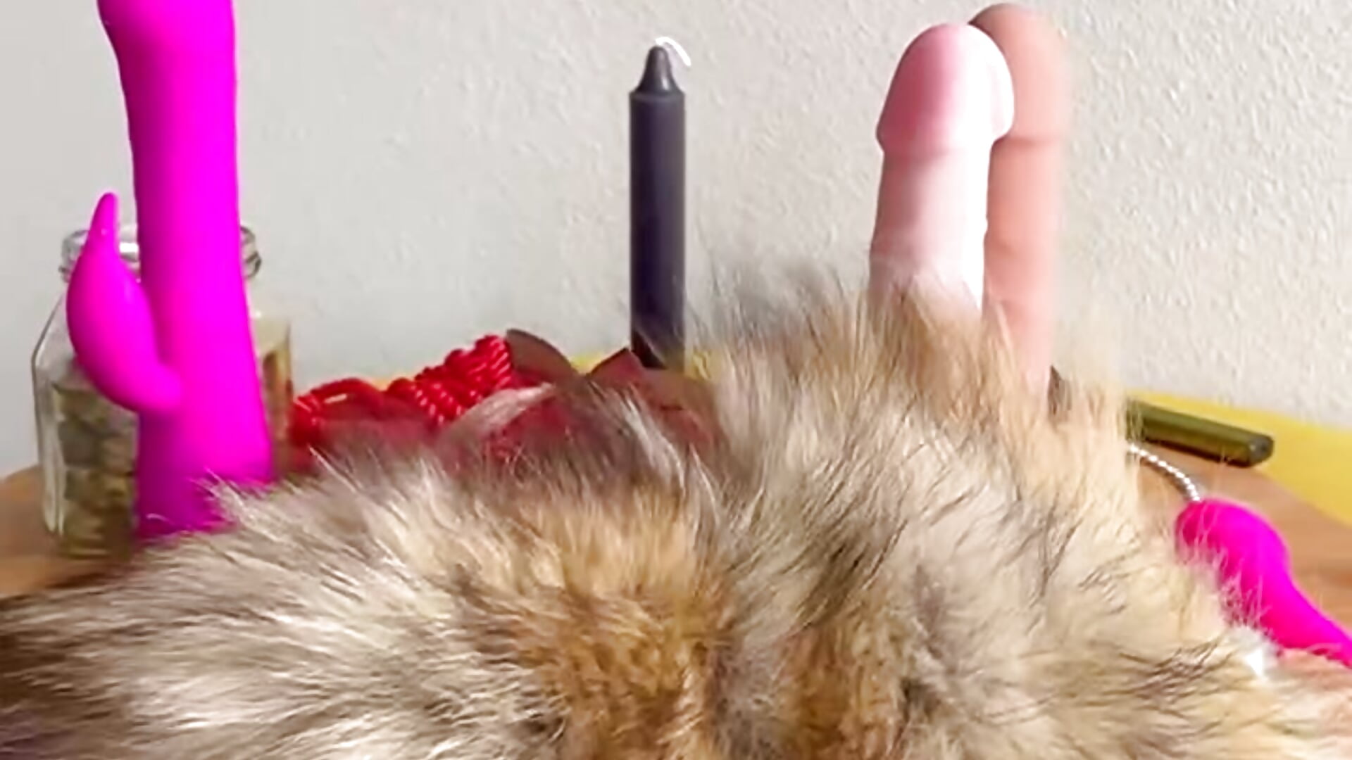 You want to see my toys? - video oleh model kamera SamyLight