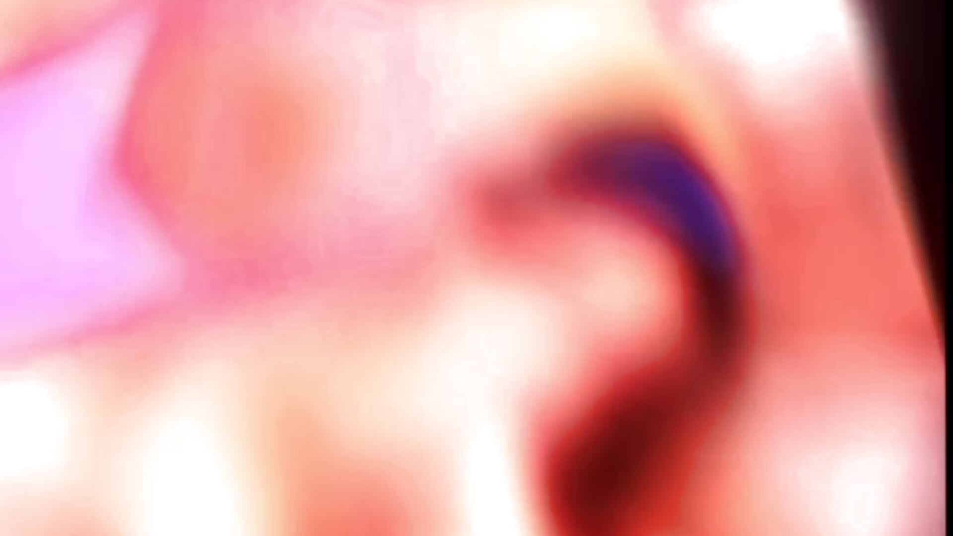 Dani en guerrrrr - video by Antonellachic73 cam model