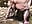 Stranger in her backyard look he's hard what's this naughty whore gonna do ? - vídeo de davisdesires@xh