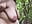 Omg whose that stranger is my pussy in danger - vídeo de davisdesires@xh