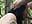 Thought she was alone and sneaking he gives her the milkybone - vídeo de davisdesires@xh