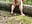 Dirty whore in the woods fucking her pussy squirting like she would - vídeo de davisdesires@xh