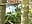 Dirty watching car hopping squirting n flopping - vídeo de davisdesires@xh