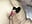 Lovenscene fucked n squirting so much - vídeo de davisdesires@xh