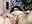 Cocks away naughty slut plays n cumms insane - vídeo de davisdesires@xh