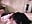 Sucking to relax creampied ass - vídeo de davisdesires@xh