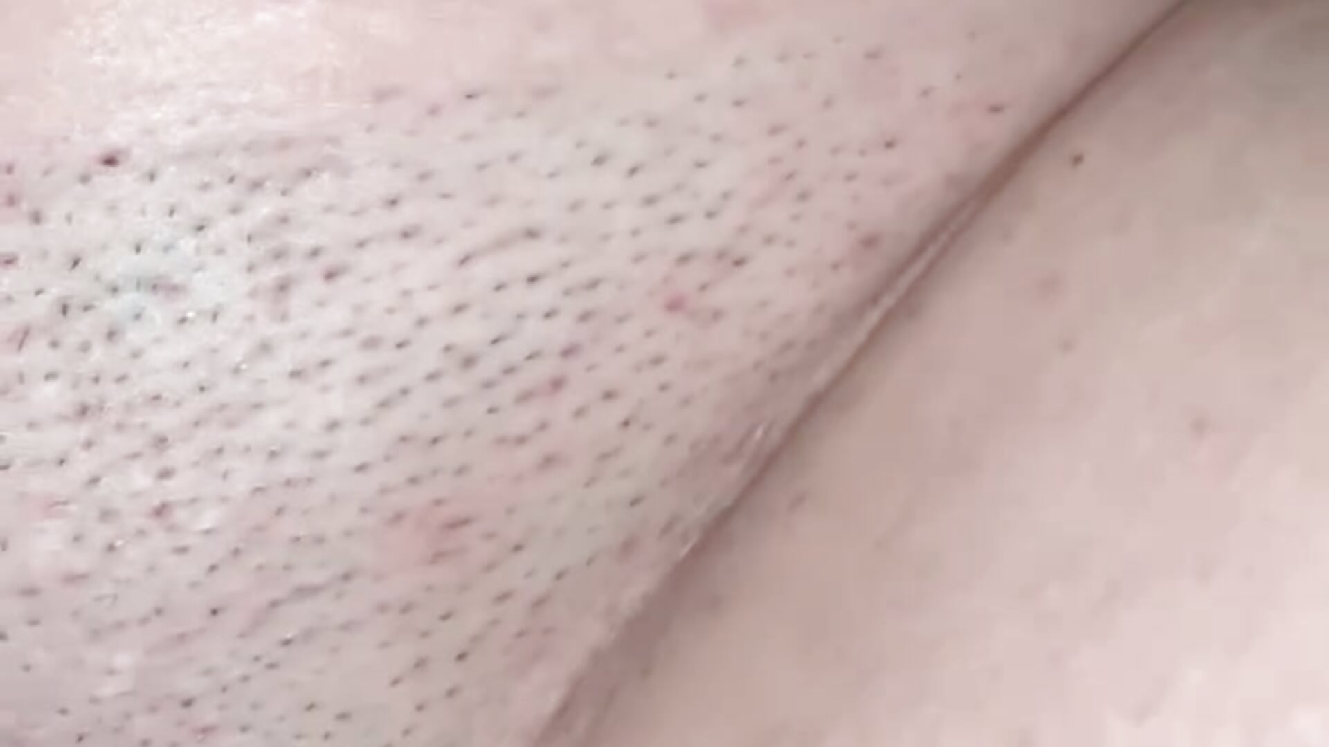Massive cream pie