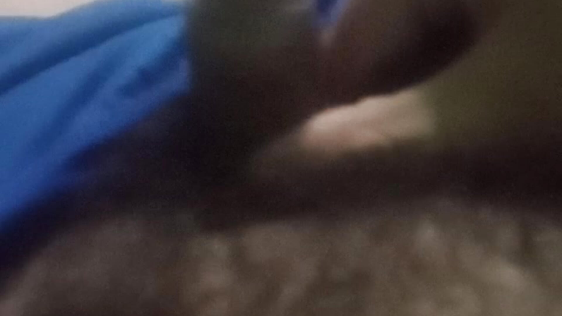 VID_20250728_161917 – video af MicroAries