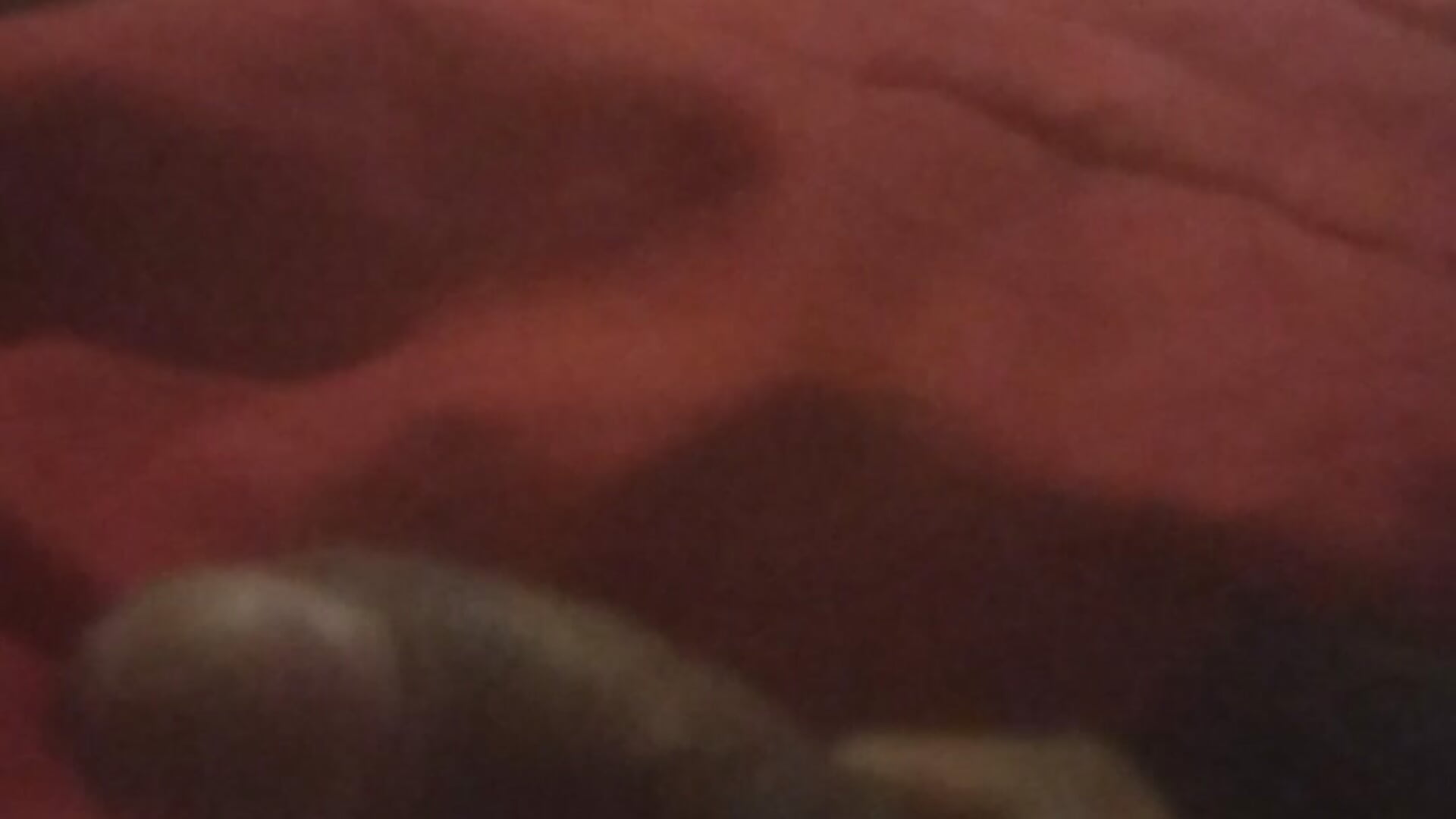 VID_20250714_215623157 - video by Qlolko cam model