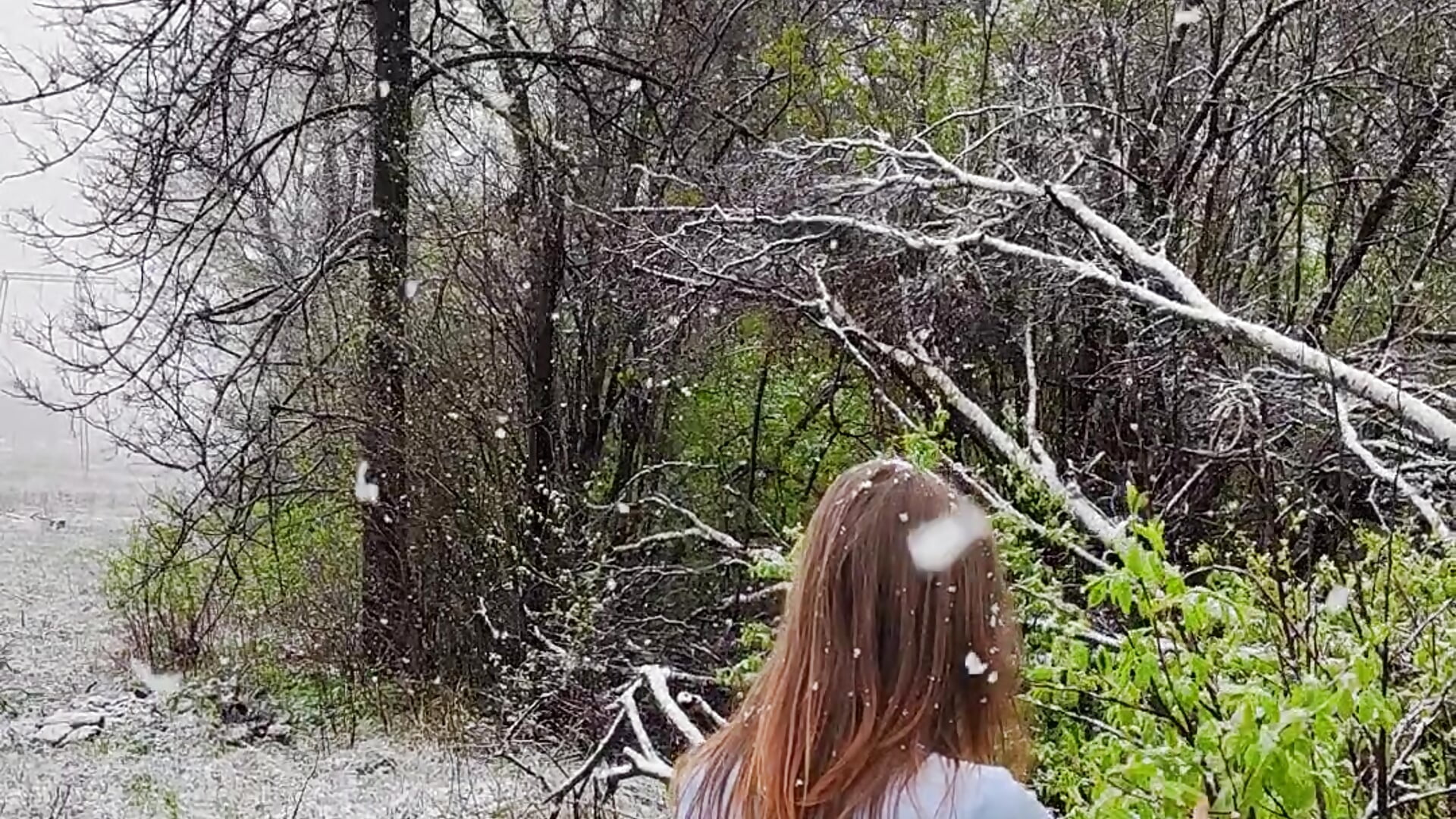 I love snow almost in summer - elikako adlı kamera modelinin videosu