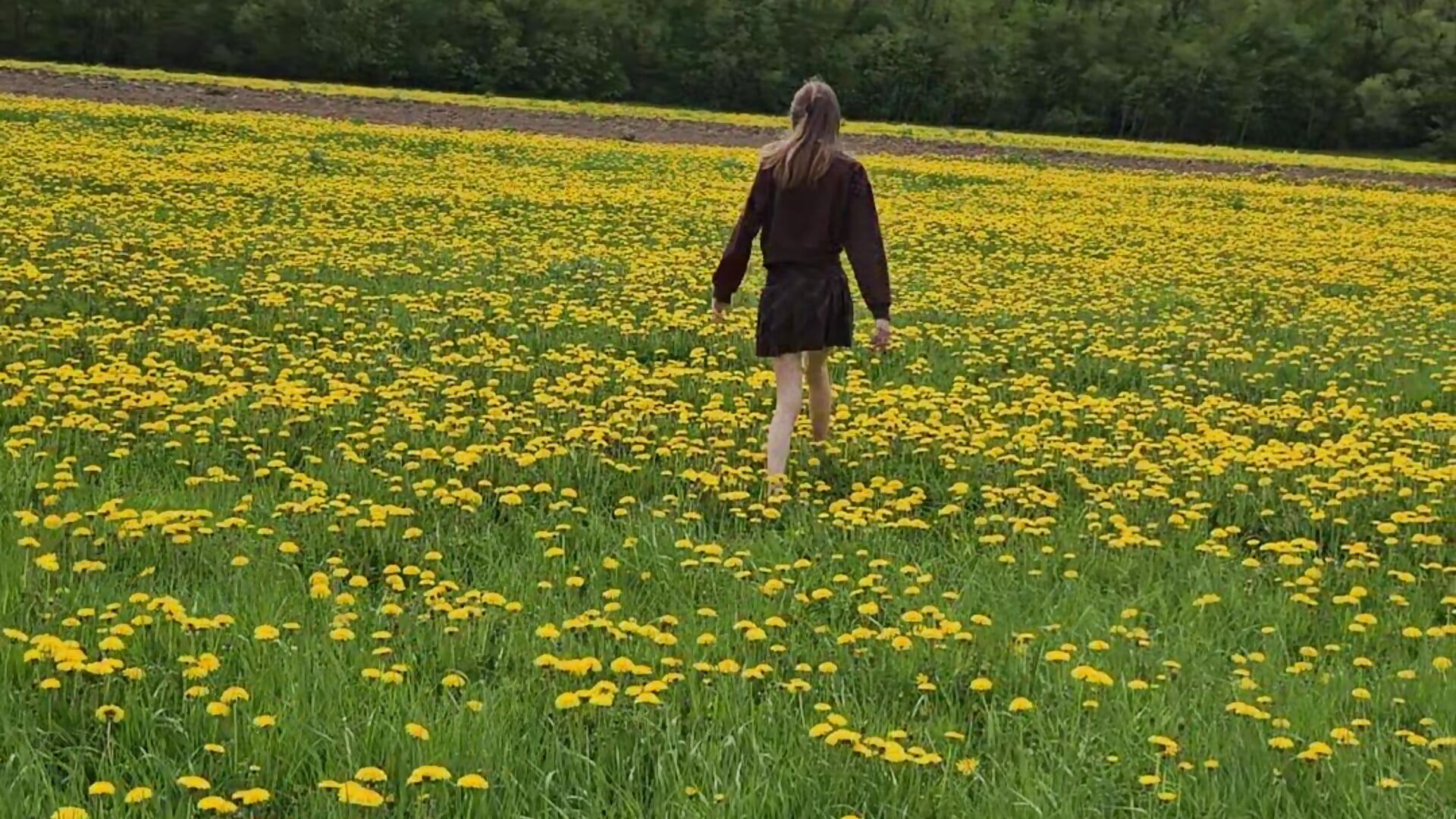Journey among dandelions - elikako adlı kamera modelinin videosu