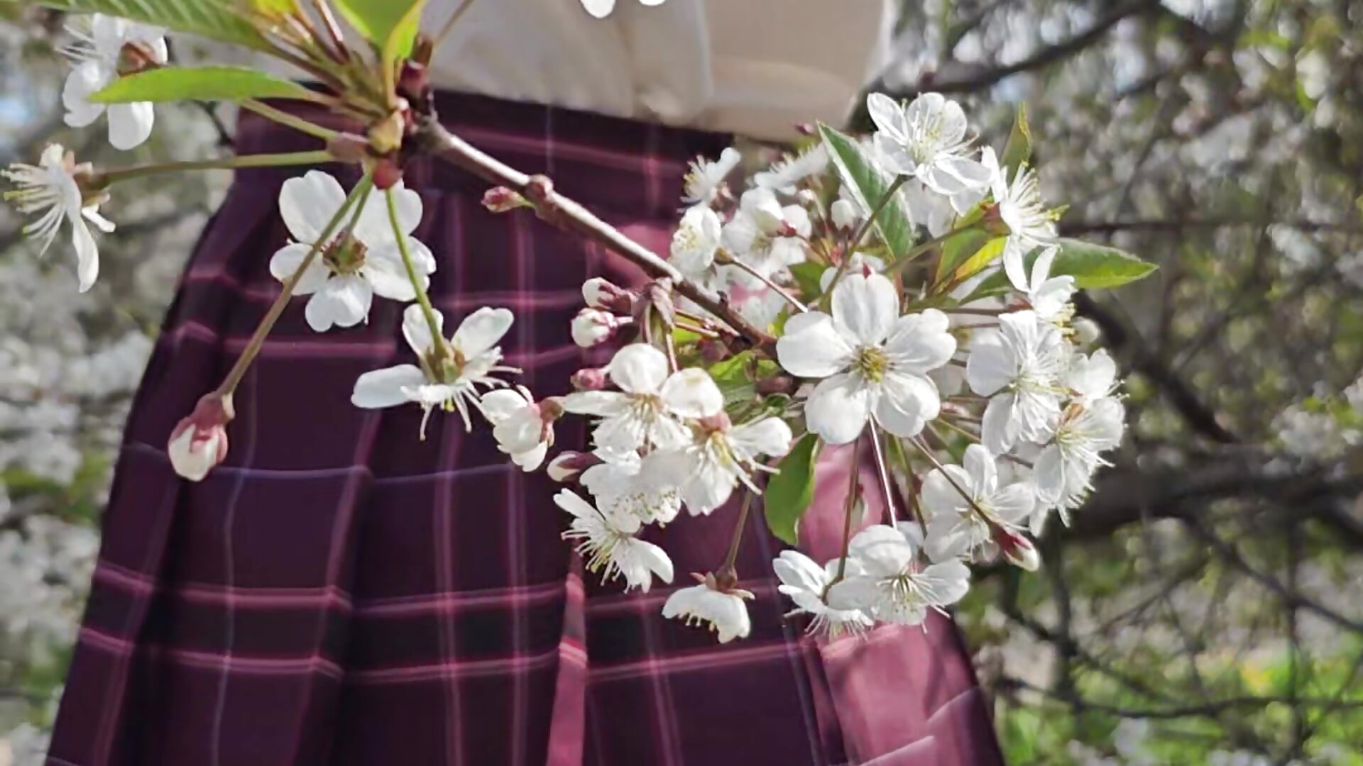 Look under the skirt and I will unbutton two buttons - elikako adlı kamera modelinin videosu