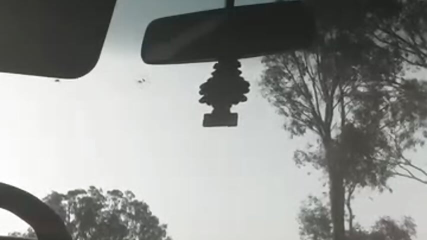 Fuck myself on car windshield