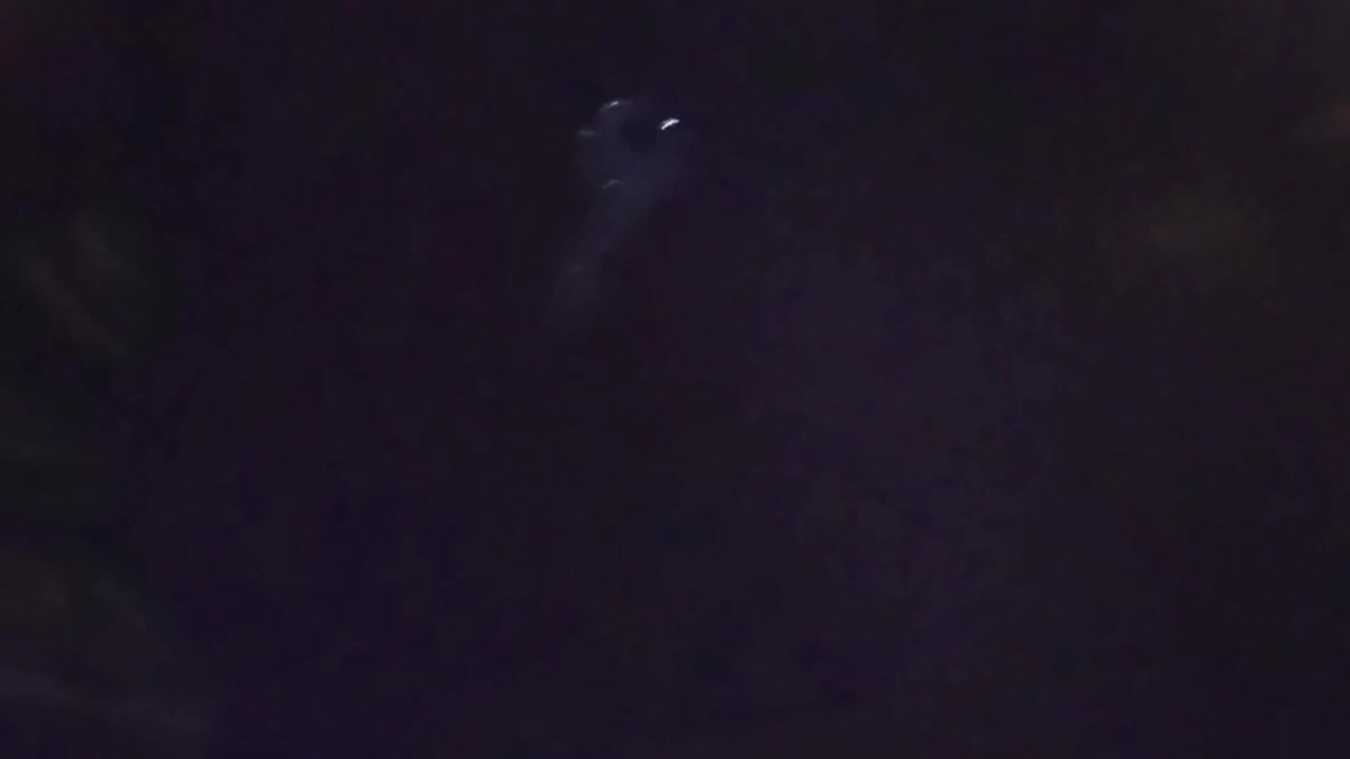 Most of this night is still a blurr. - video by DaniObedire cam model