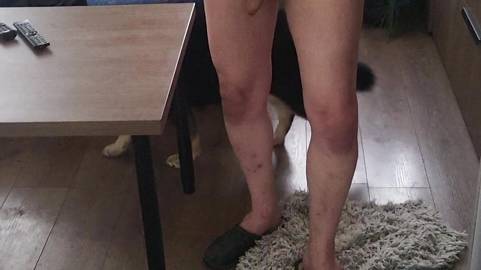 klip - відео від вебкаммоделі bajka76