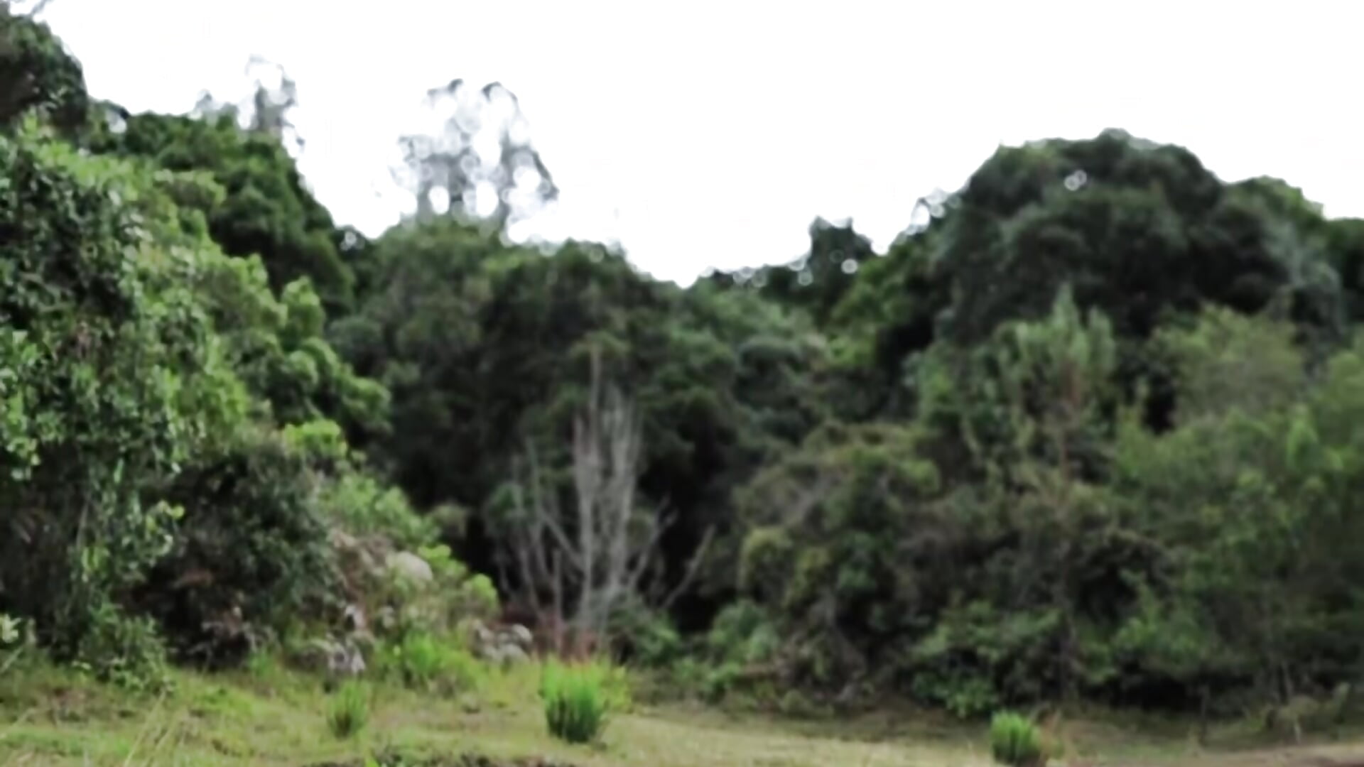 +1 trip around the sun ☀️🎂 – видео вебкам-модели zzoe_