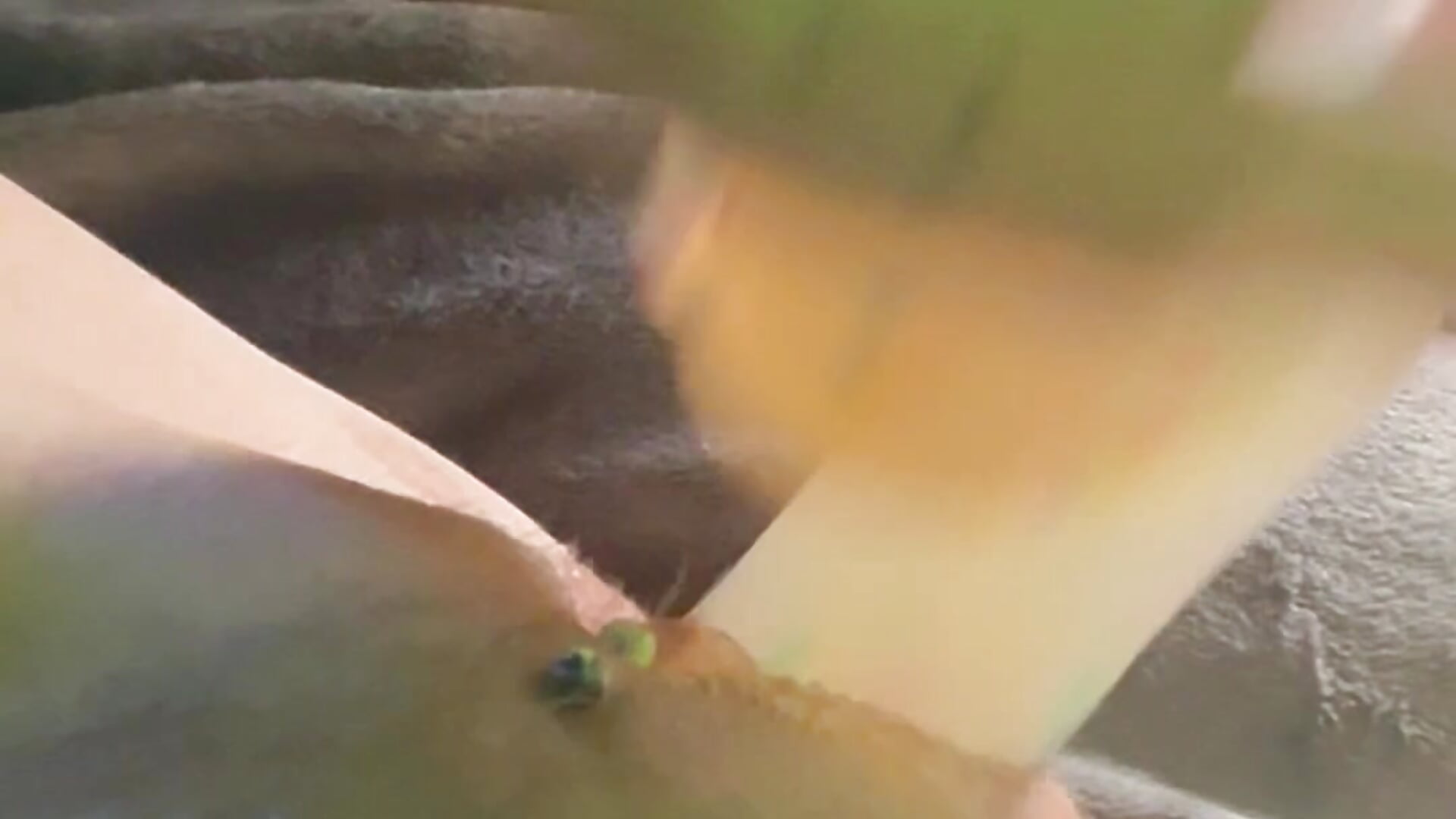 My view－カメラキャストのalicewonder09の動画