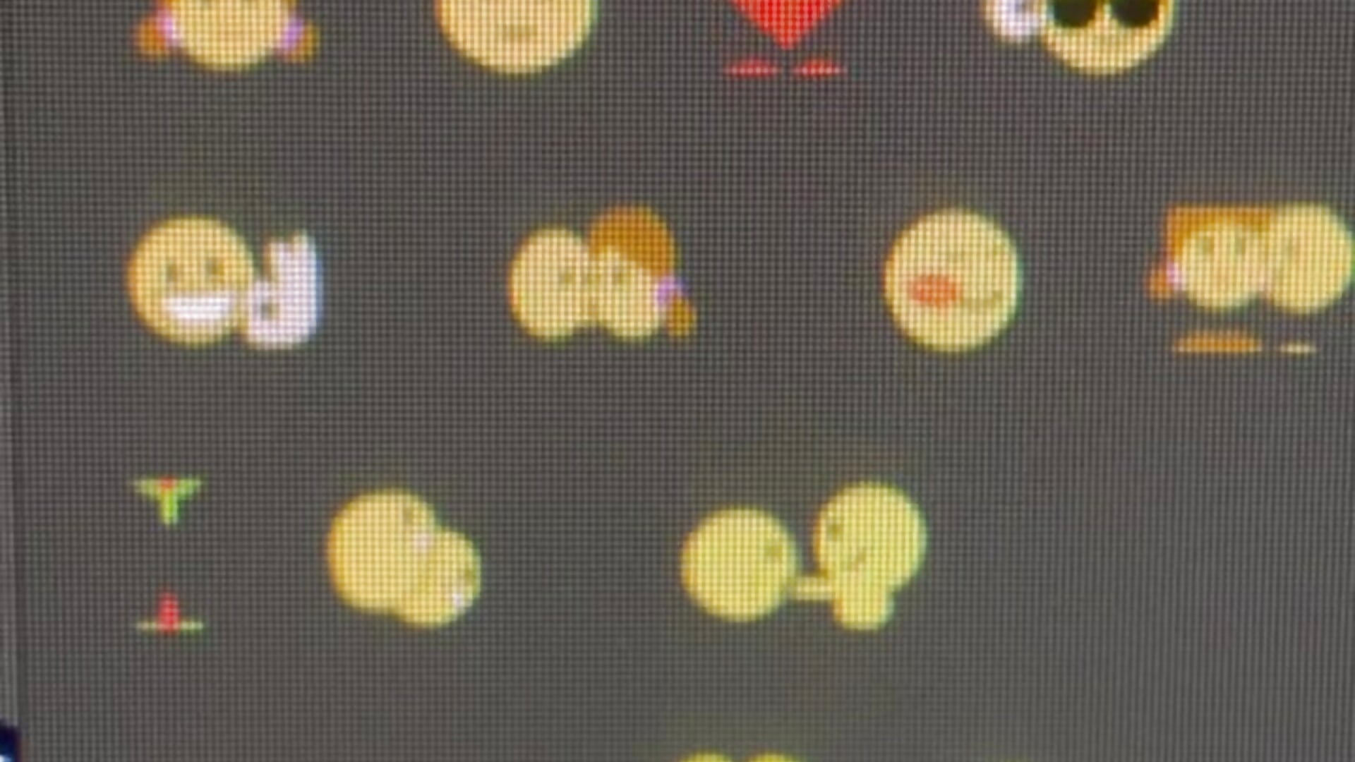 IMG_2023 – video od webkamerové modelky christris_