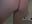 Slow mo twerk 🎂🎂🎂🎂🎂🎂🎂🎂🎂 - video di Snowbunnycake_131 modella di cam