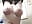 Play with my tits baby - video di Snowbunnycake_131 modella di cam