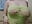 💚💚 - video di Snowbunnycake_131 modella di cam