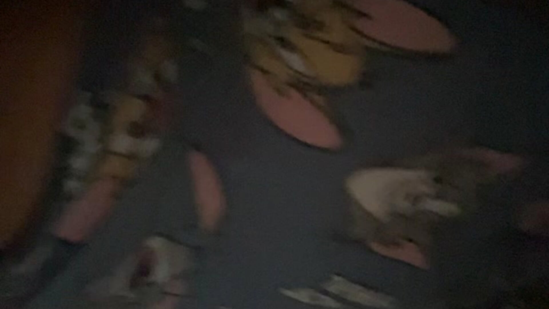 Mmm - video di GumusGuray modella di cam