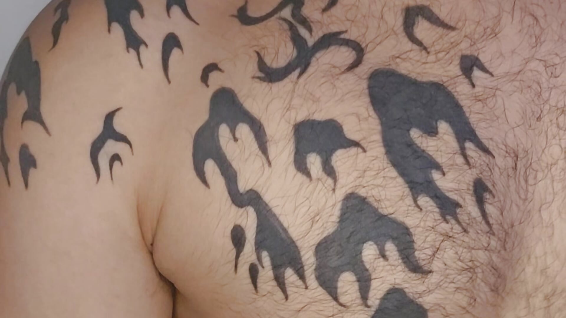 My Tatto - video di alejandro__2 modella di cam