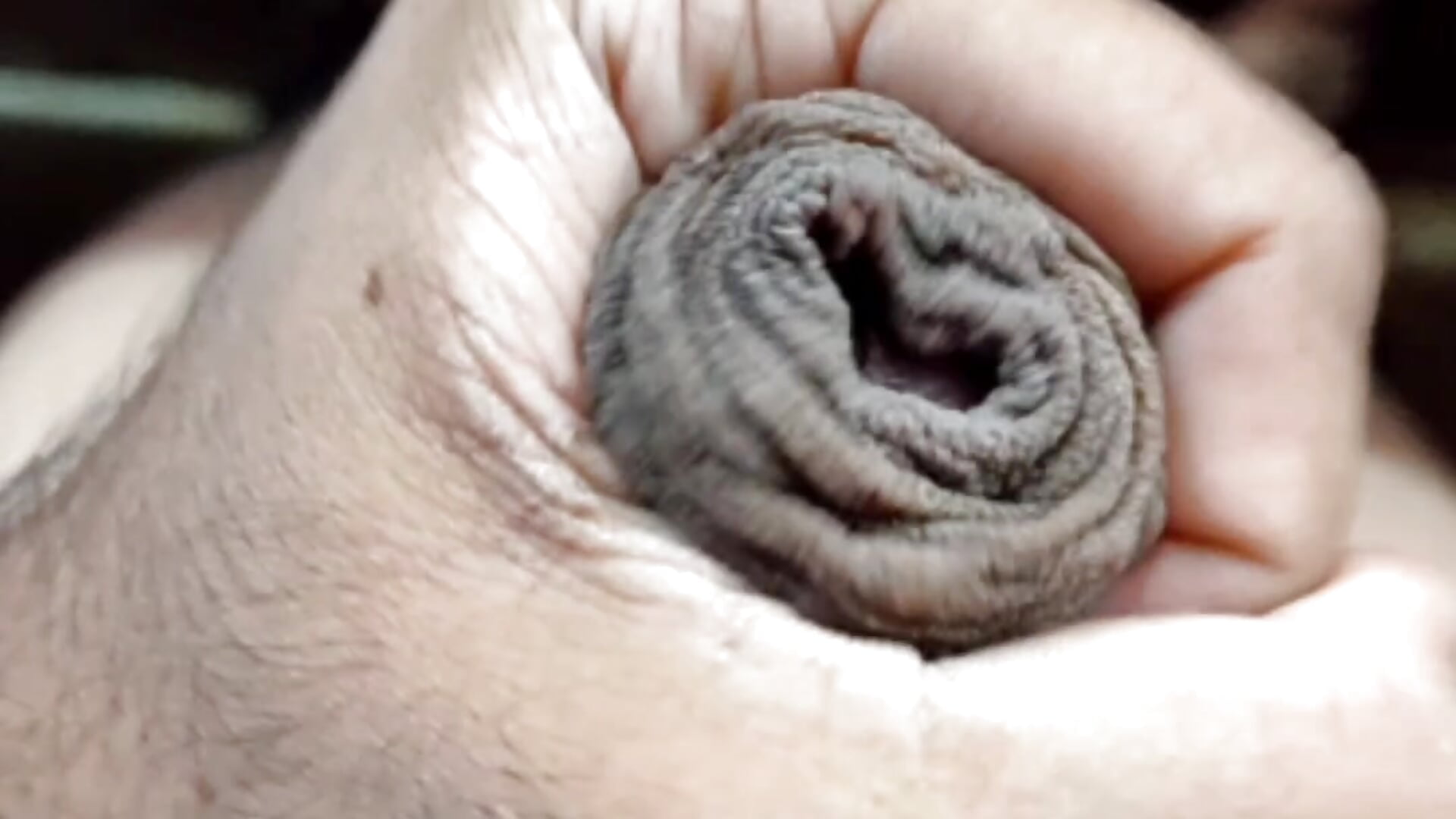 White Hard CUM of the year– vishnuvinod_india kameramodell videója