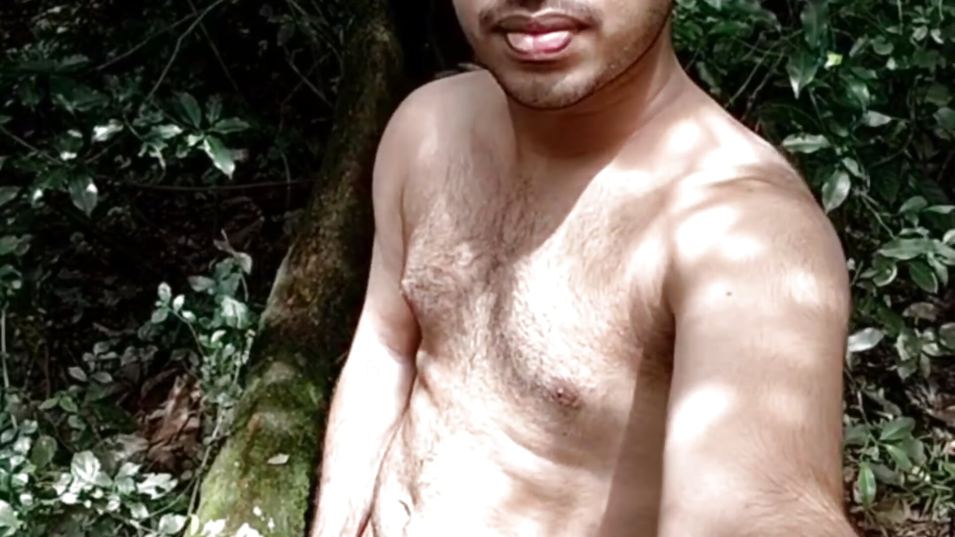 Sun outdoor nature Cumming