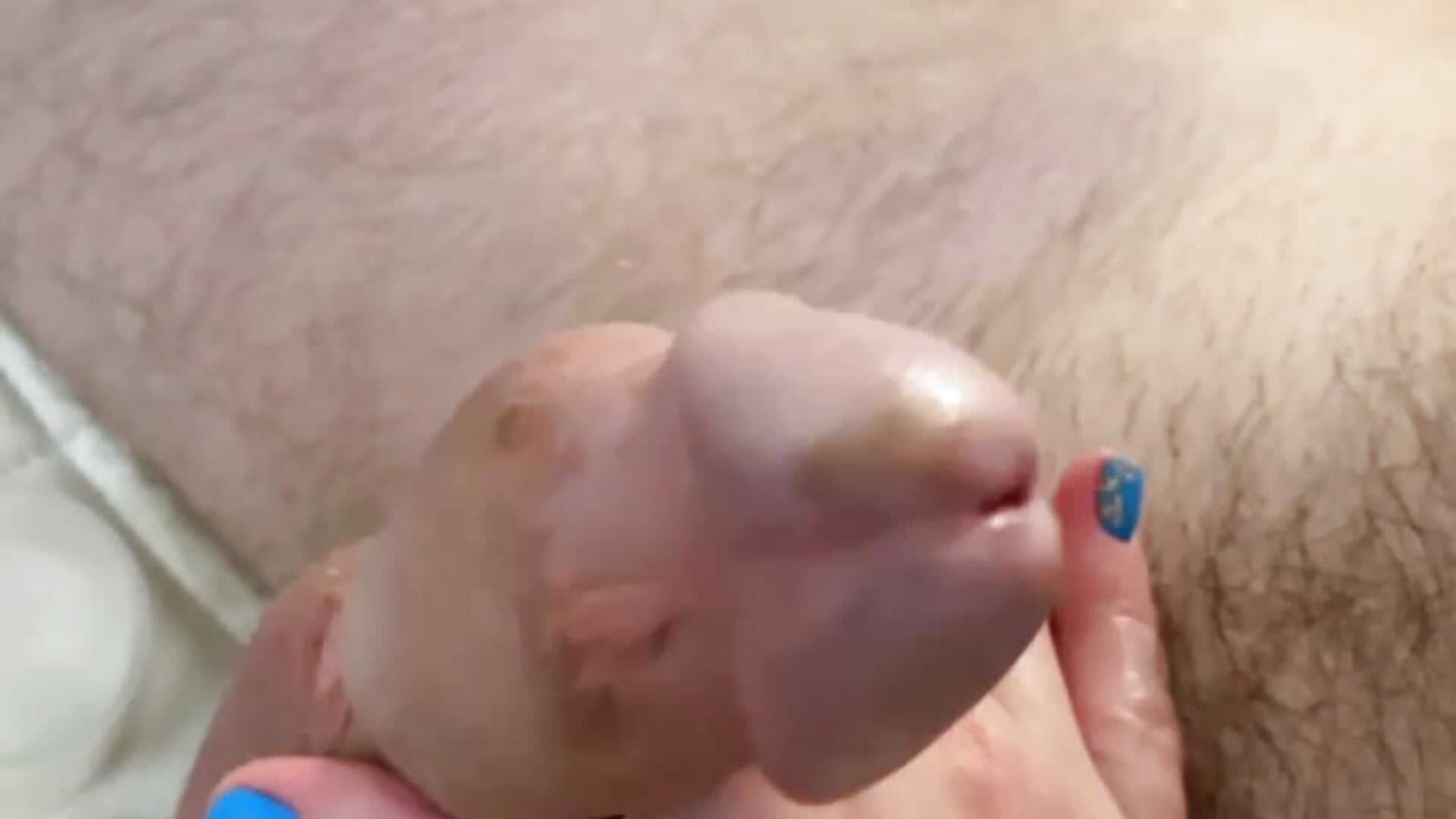 masturbate my lover's cock