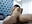 Theo WonderReverse Cowgirl Sensual - video by Theowonder cam model