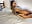HEFTIG! Eingeölt + multiple Orgasmen mit squirt - video by LexiCoco cam model