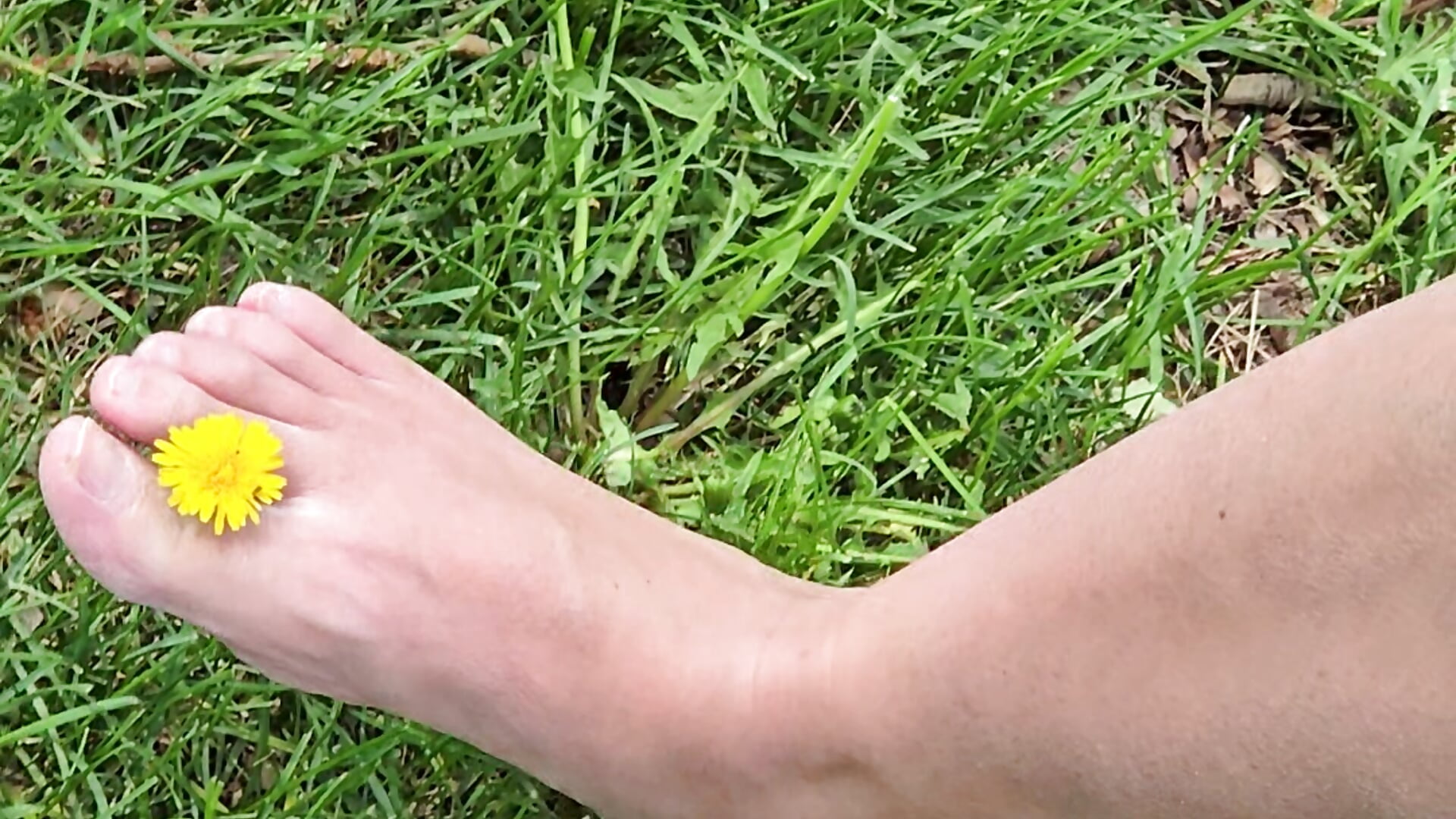 Yet Another Toe Flower Pluck